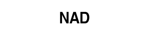 NAD Electronics Varese
