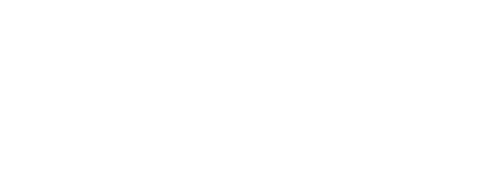 Rega giradischi Varese