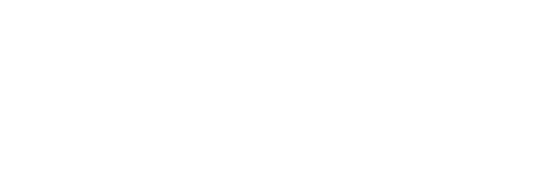 bose professional Varese